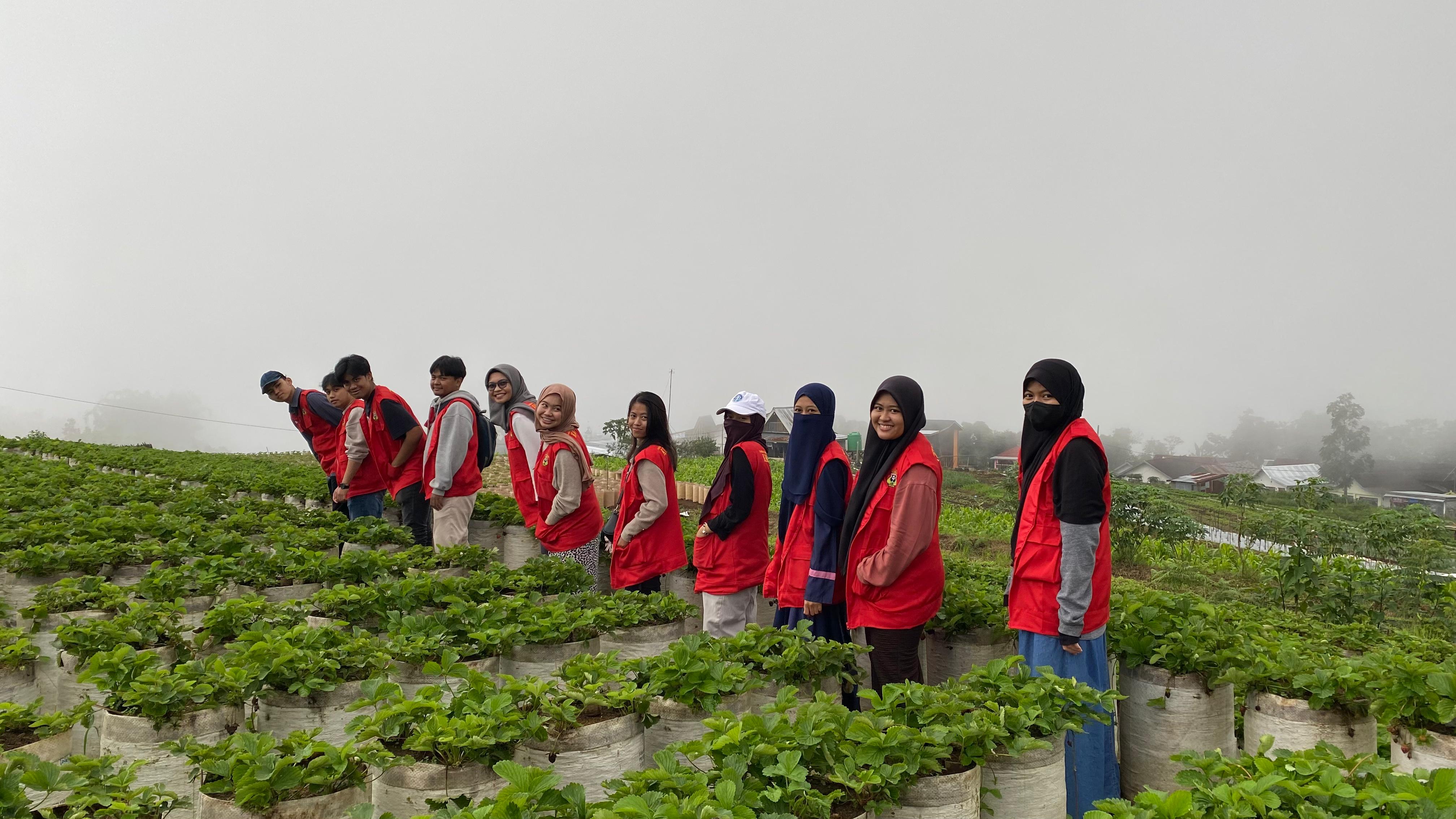 Keunggulan Komersial dan Pariwisata