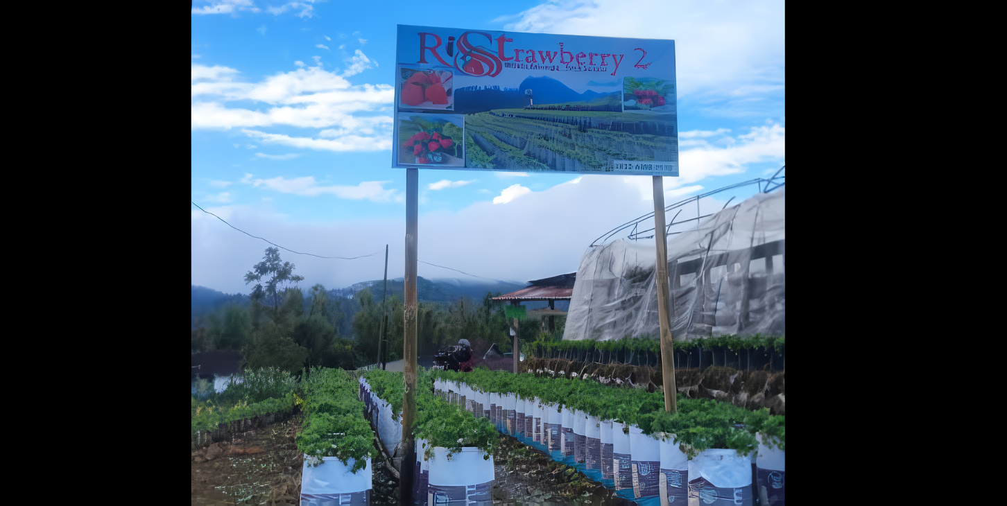 Lokasi Strategis dan Sejuk