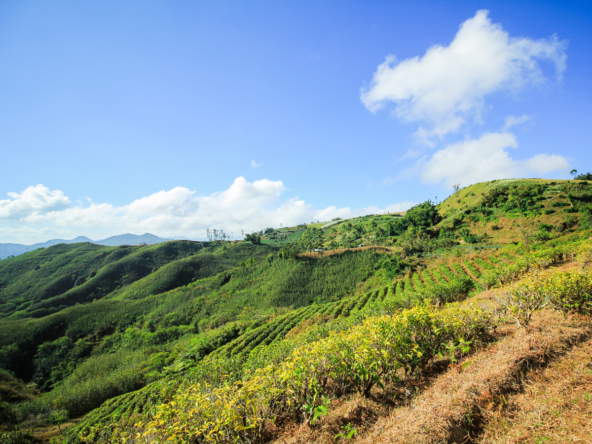 Keunggulan Alam dan Lingkungan